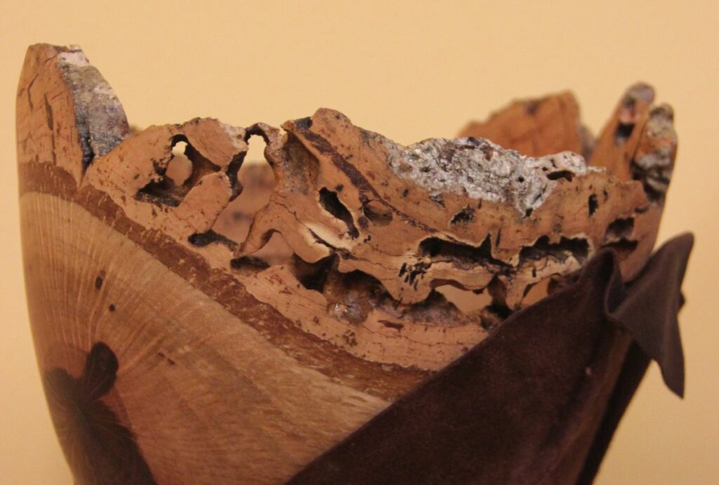 detailed view of "Skin" - leather and wood - original work of art  by Coralie Saramago