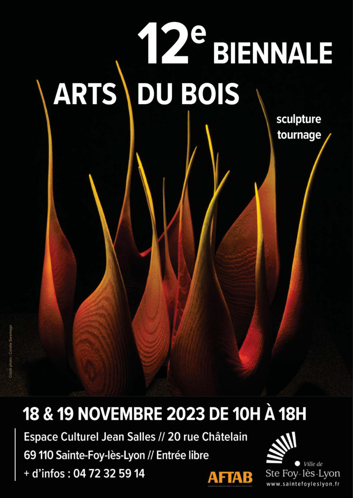 Affiche 2023 biennale arts du bois sainte foy-lés-lyon